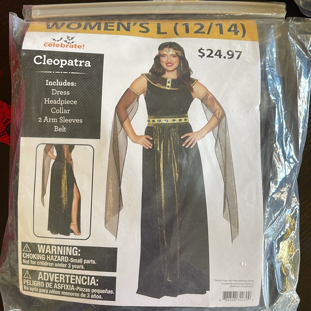 Cleopatra Women's Costume - Black and Gold